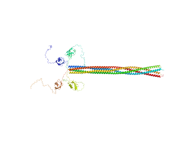 Meiotic recombination protein rec15 OTHER model