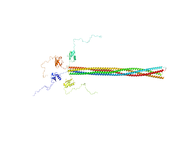 Meiotic recombination protein rec15 OTHER model