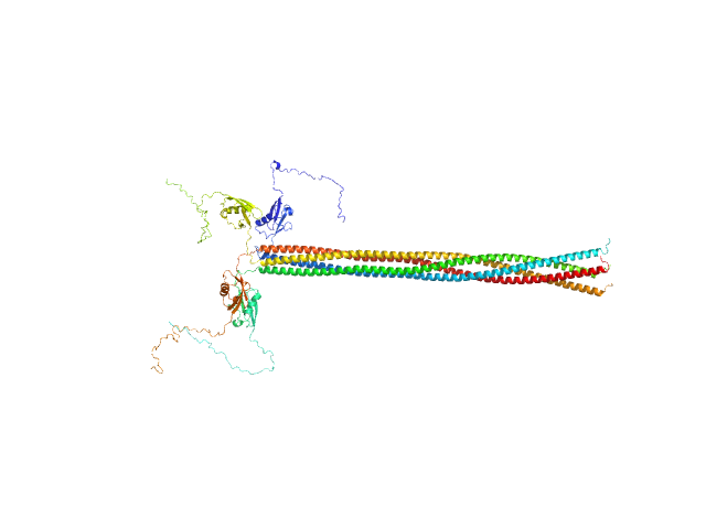 Meiotic recombination protein rec15 OTHER model