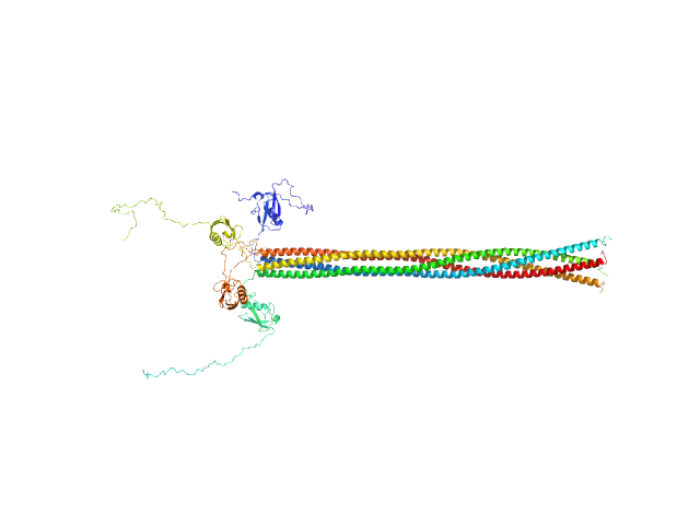 Meiotic recombination protein rec15 OTHER model