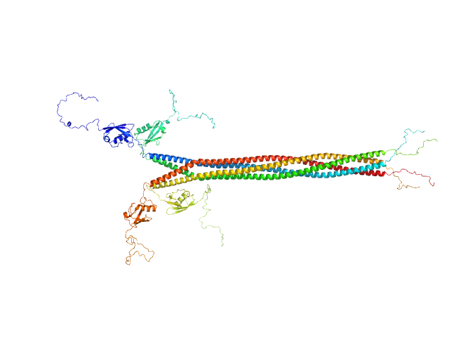 Interactor of HORMAD1 protein 1 (M198V, V230I) OTHER model