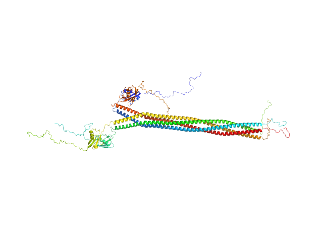 Interactor of HORMAD1 protein 1 (M198V, V230I) OTHER model