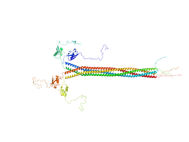 Interactor of HORMAD1 protein 1 (M198V, V230I) OTHER model