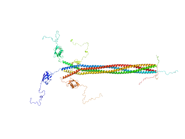 Interactor of HORMAD1 protein 1 (M198V, V230I) OTHER model