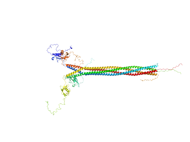 Interactor of HORMAD1 protein 1 (M198V, V230I) OTHER model