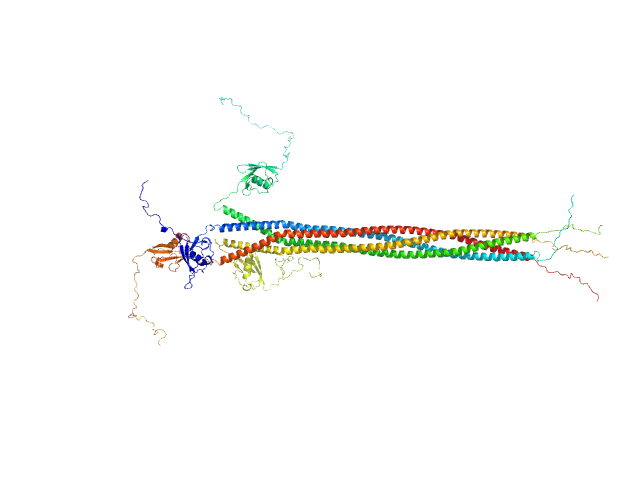 Interactor of HORMAD1 protein 1 (M198V, V230I) OTHER model