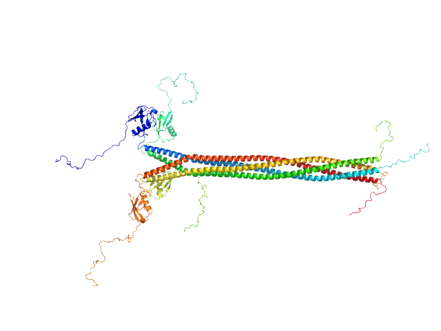 Interactor of HORMAD1 protein 1 (M198V, V230I) OTHER model