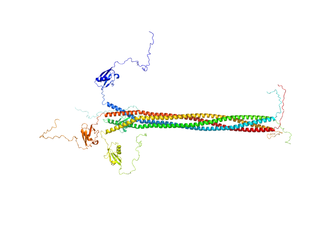 Interactor of HORMAD1 protein 1 (M198V, V230I) OTHER model