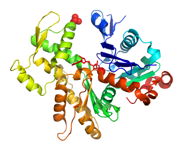 PDB (PROTEIN DATA BANK) model