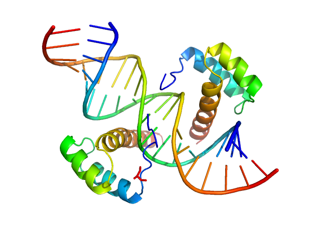 Cone-rod homeobox protein Ret4 sense strand Ret4 antisense strand COOT model