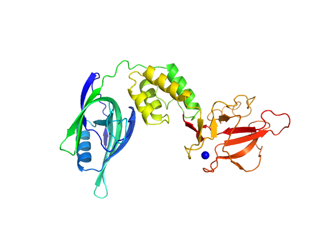 Cereblon-midi mezigdomide SWISSMODEL model