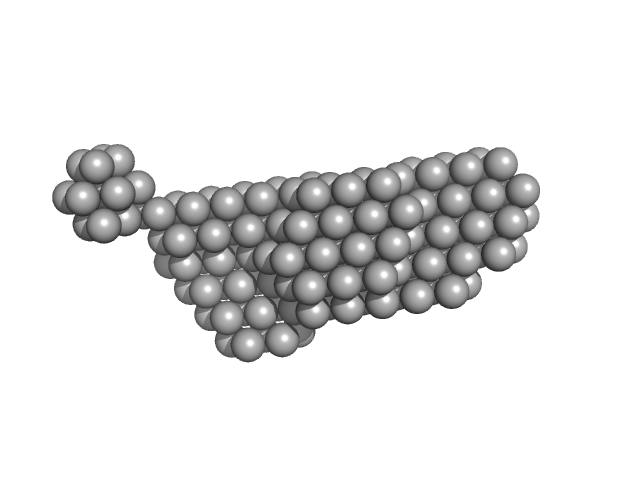 Z-DNA-binding protein 1 DAMMIF model