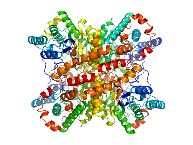 Xylose isomerase PDB (PROTEIN DATA BANK) model