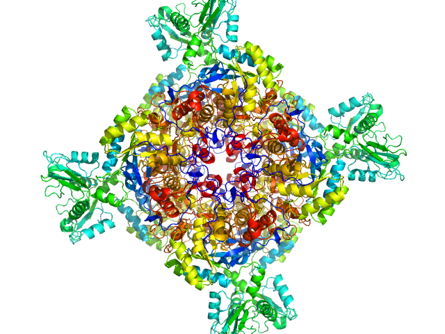 Inosine-5'-monophosphate dehydrogenase PYMOL model