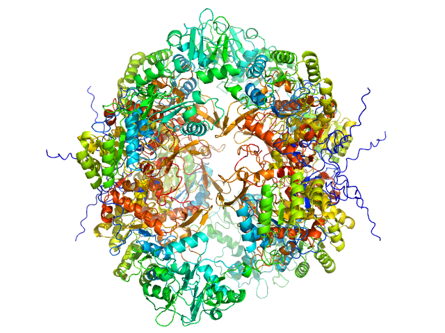 Inosine-5'-monophosphate dehydrogenase PYMOL model