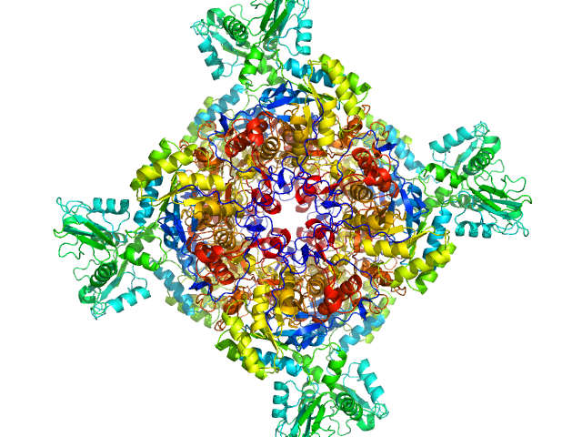 PYMOL model