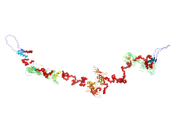 Double-stranded RNA-binding protein Staufen homolog 1 (Δ1-81) EOM/RANCH model