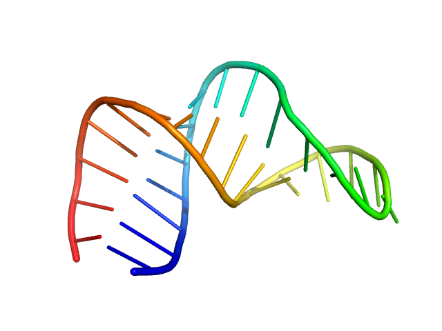 RNAMASONRY model