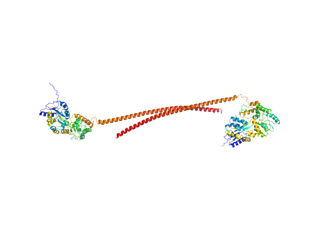 Septin-10 ALPHAFOLD model