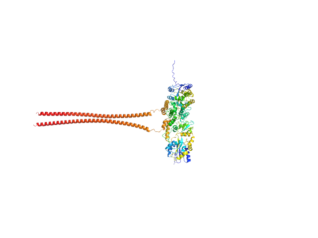 Septin-10 OMEGAFOLD model