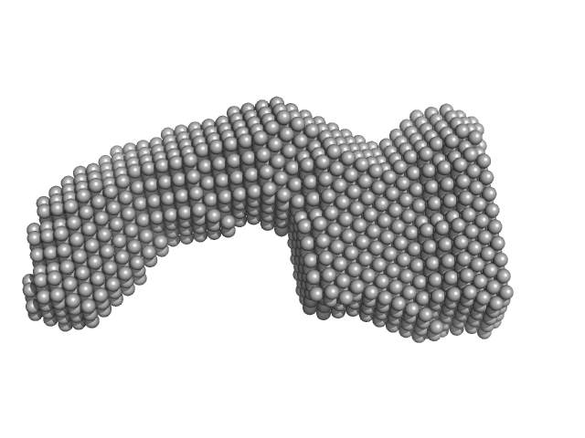 LPXTG-motif cell wall anchor domain protein DAMMIF model