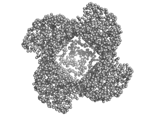 Putative acylaminoacyl-peptidase GASBOR model