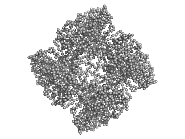 Putative acylaminoacyl-peptidase GASBOR model