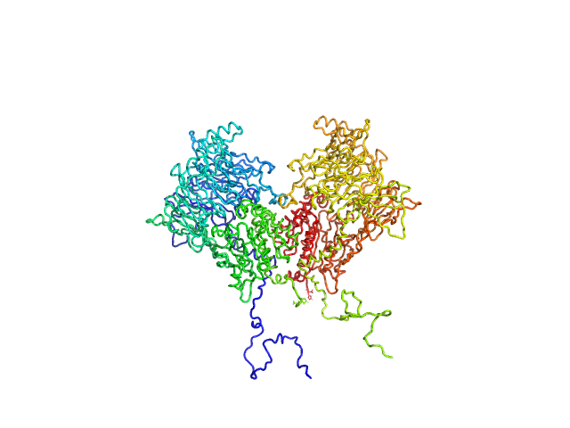 BILBOMD model