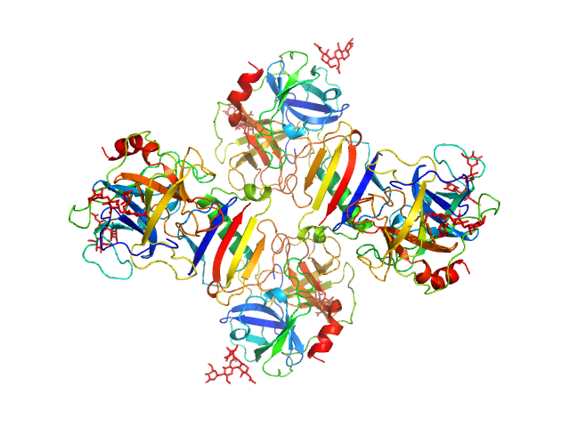 Neutrophil elastase Protein map PHENIX model