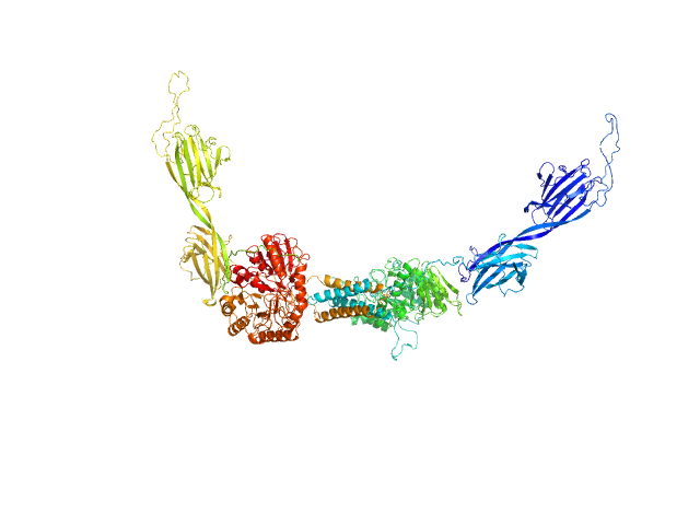 BILBOMD model