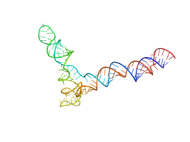 full stem-loop 5 of SARS-CoV-2 5'genomic end PYMOL model