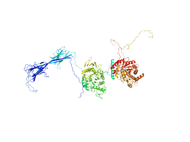 BILBOMD model