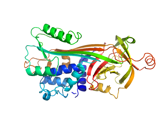 PDB (PROTEIN DATA BANK) model