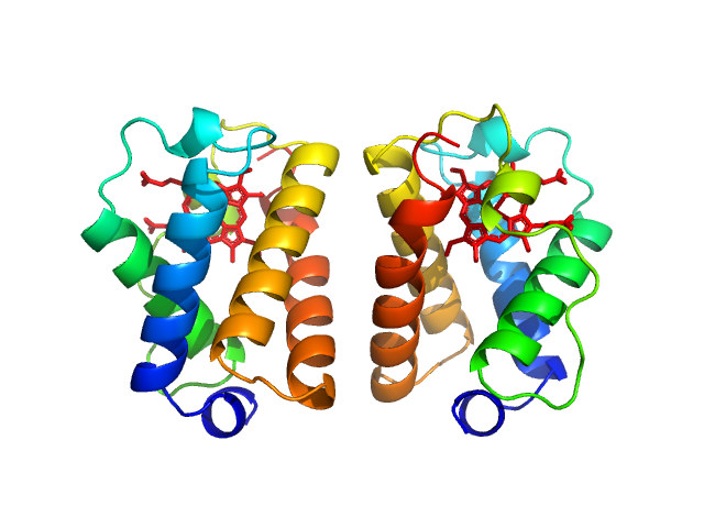 Group 1 truncated hemoglobin (C51S, C71S) PDB (PROTEIN DATA BANK) model