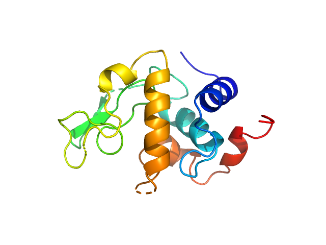 Lysozyme C SREFLEX model